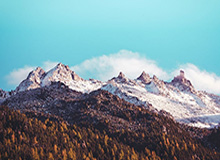 收获迷弟一枚！开拓者官方晒夏普与小男孩互动视频