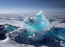 收获迷弟一枚！开拓者官方晒夏普与小男孩互动视频